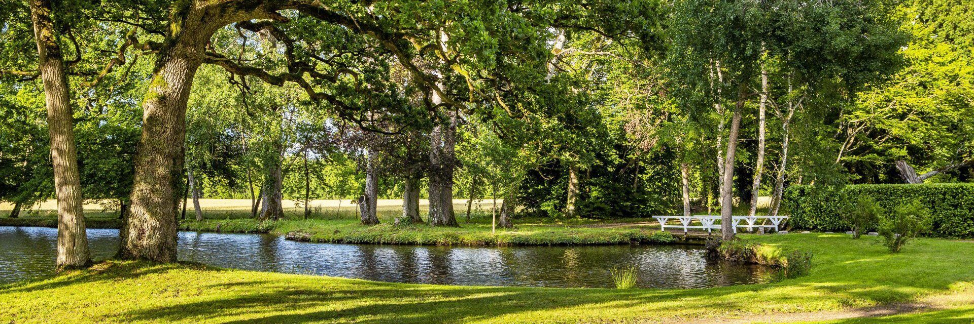 A serene park with a pond, trees, and a white bench.