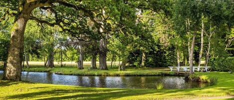 Un parc paisible avec un étang, des arbres et un banc blanc.