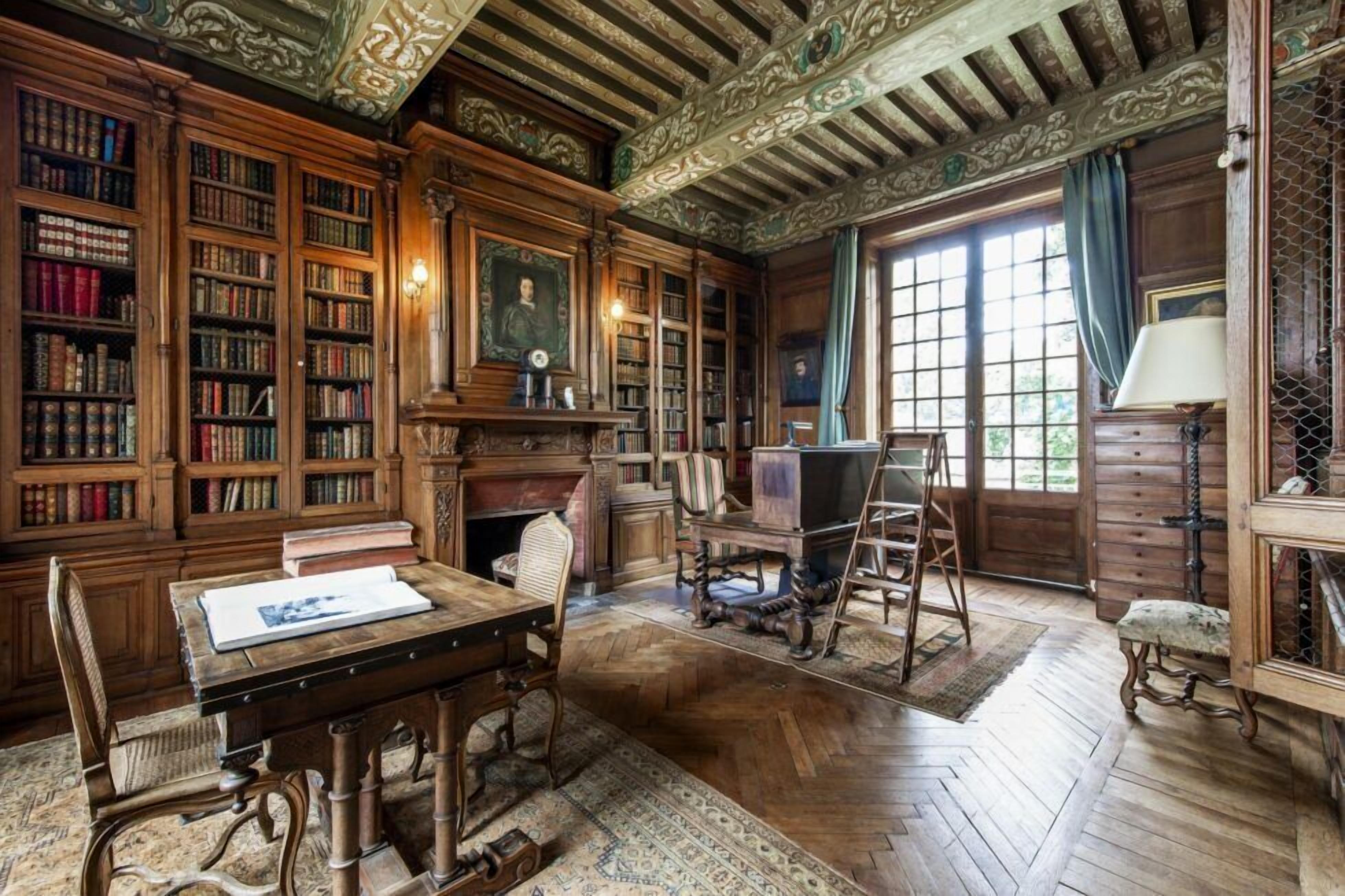 A library with wooden bookshelves, a fireplace, and a large window.