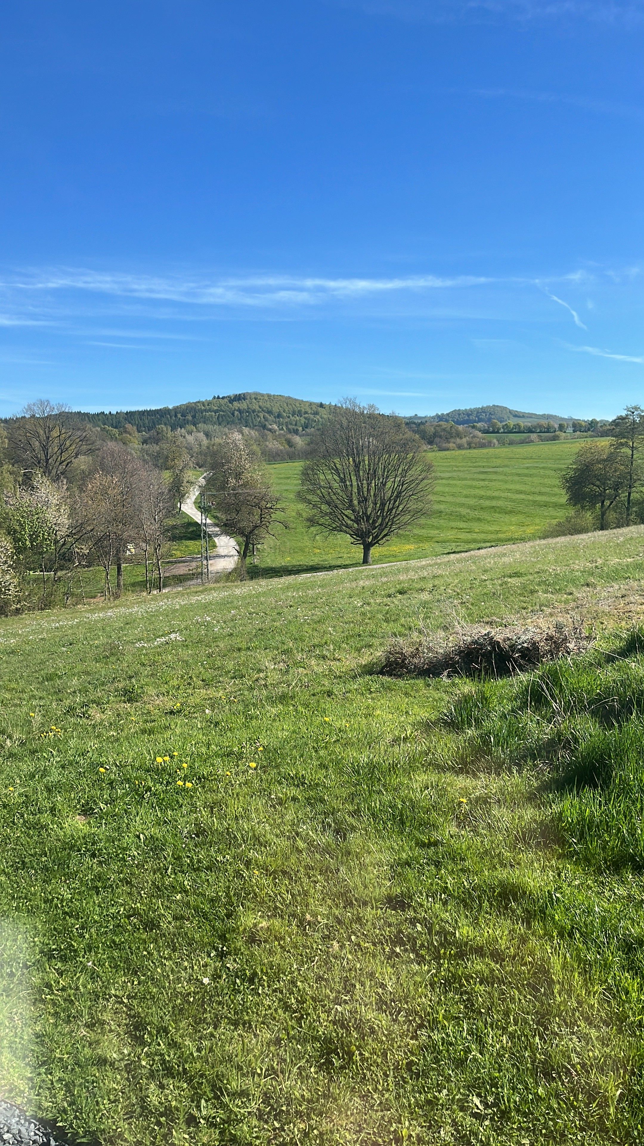 A rural landscape with a clear sky, a dirt path, and a tree-lined field.
