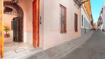 A narrow street with buildings featuring traditional architecture, a wooden door, and a potted plant.