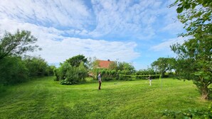 Un espacio al aire libre con una red de voleibol, árboles y un edificio al fondo.