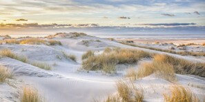 Une plage avec des dunes de sable et de l’herbe.