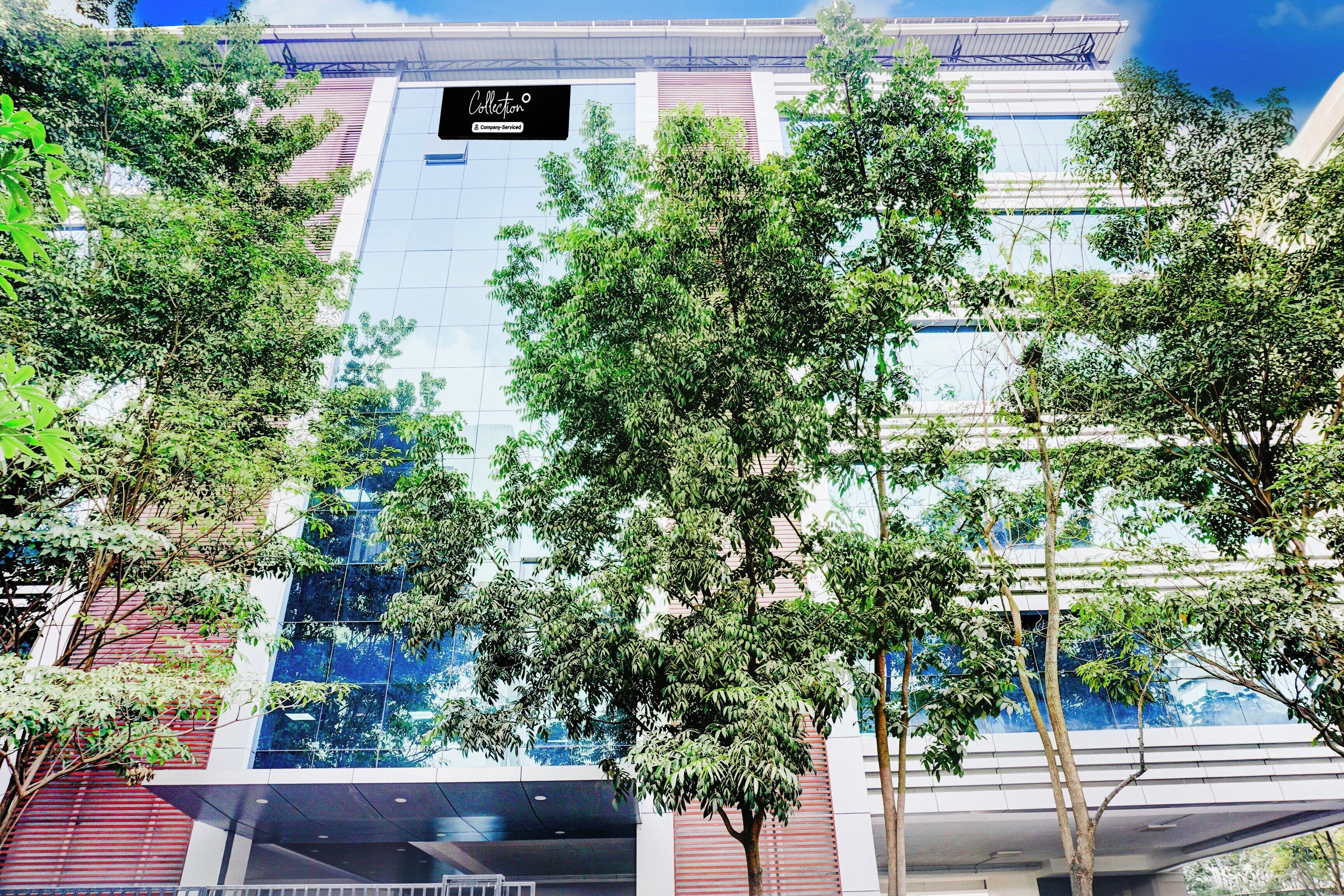 A modern building with a glass facade and a sign that reads 'Collection'.