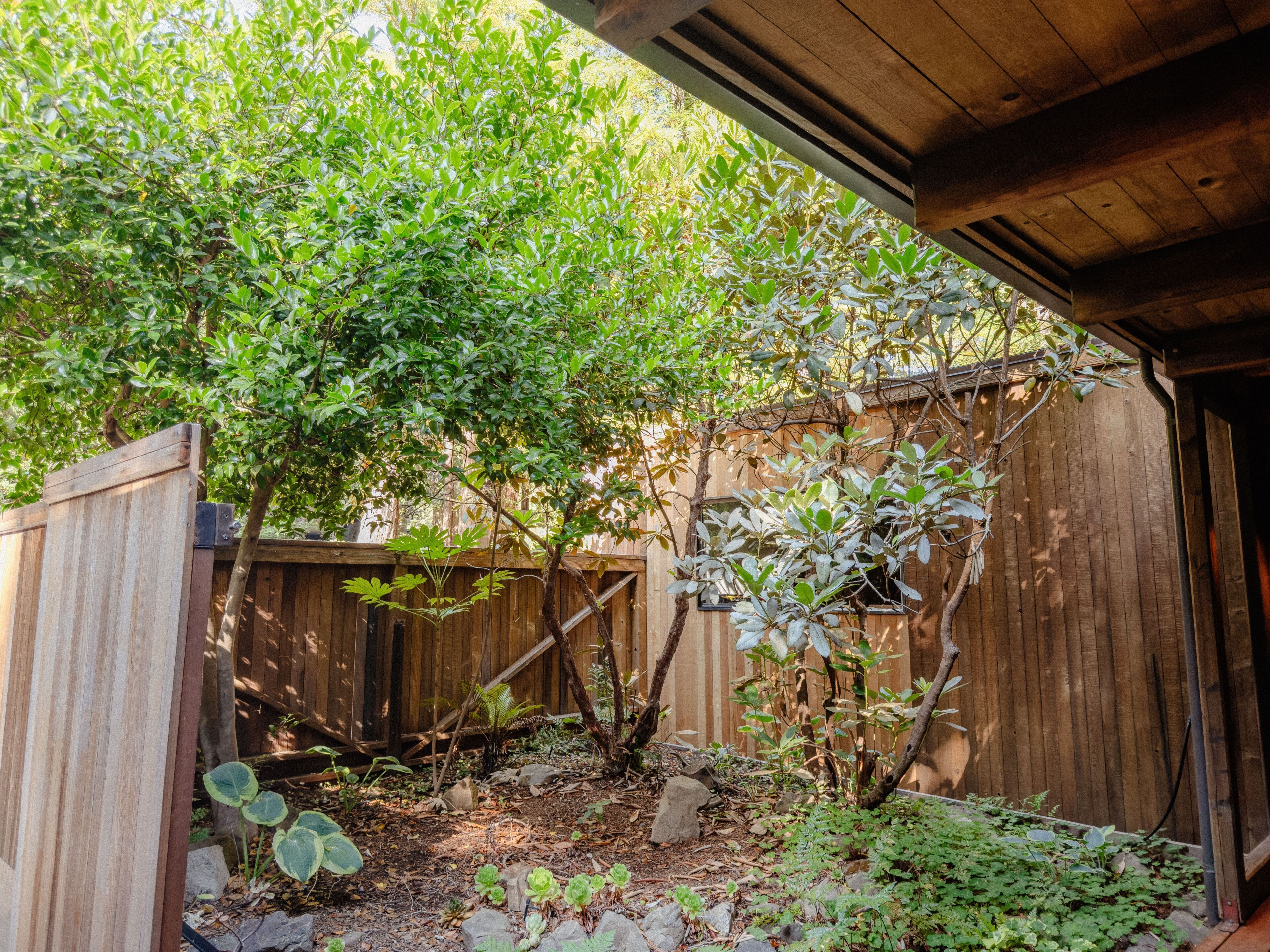 A wooden fence, a tree, and a garden area with various plants.