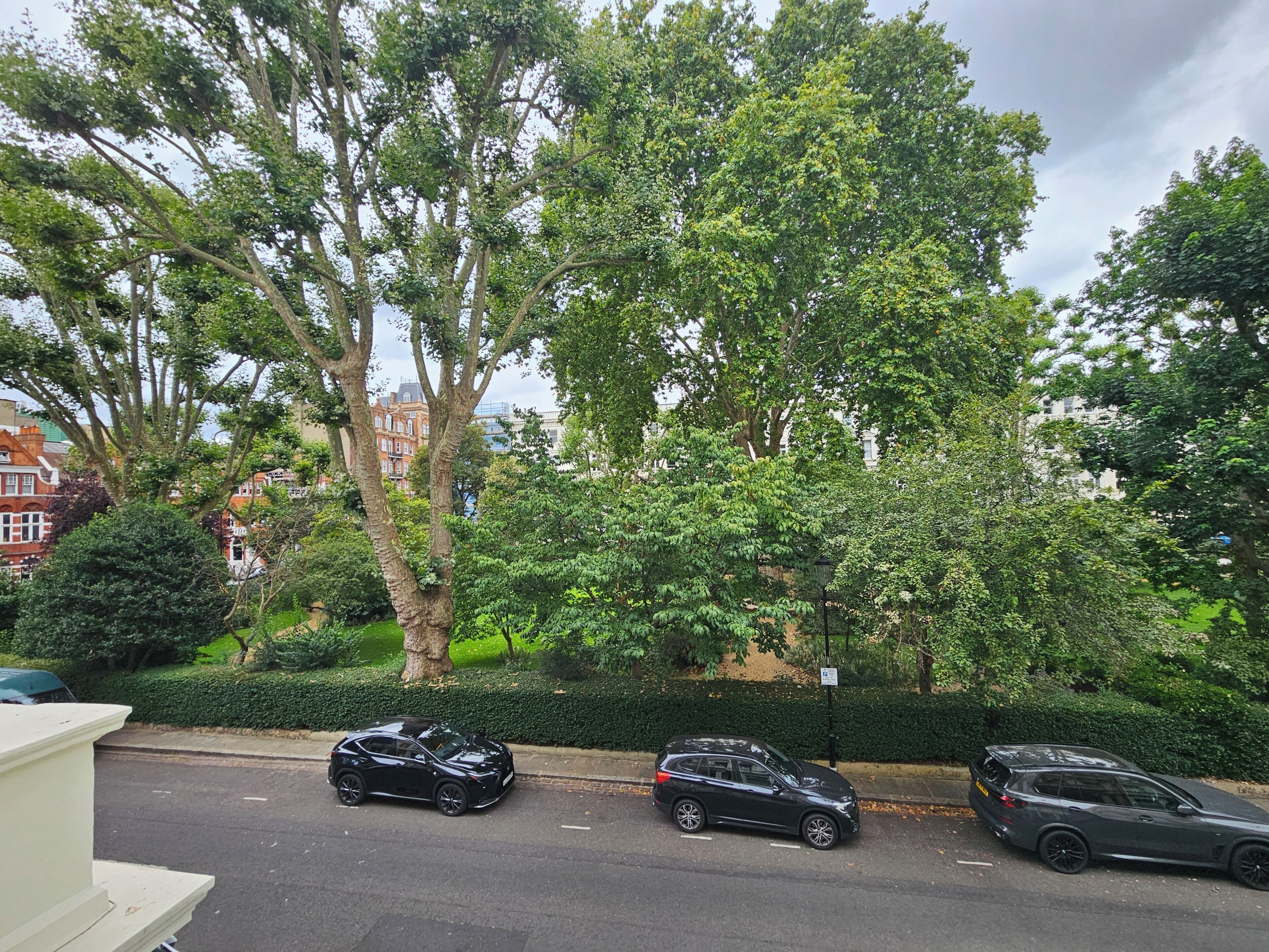 A street lined with trees and parked cars.