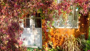 A wooden door partially covered by climbing plants with red leaves.