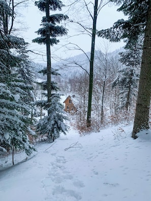 Un sentier forestier enneigé menant à un bâtiment doté d’un toit en pente.