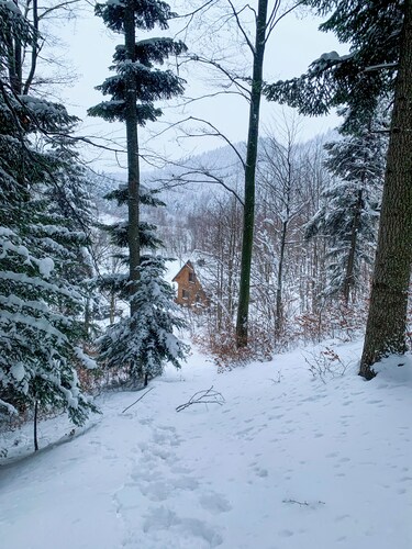 Cheerful cottage on the Red Trail