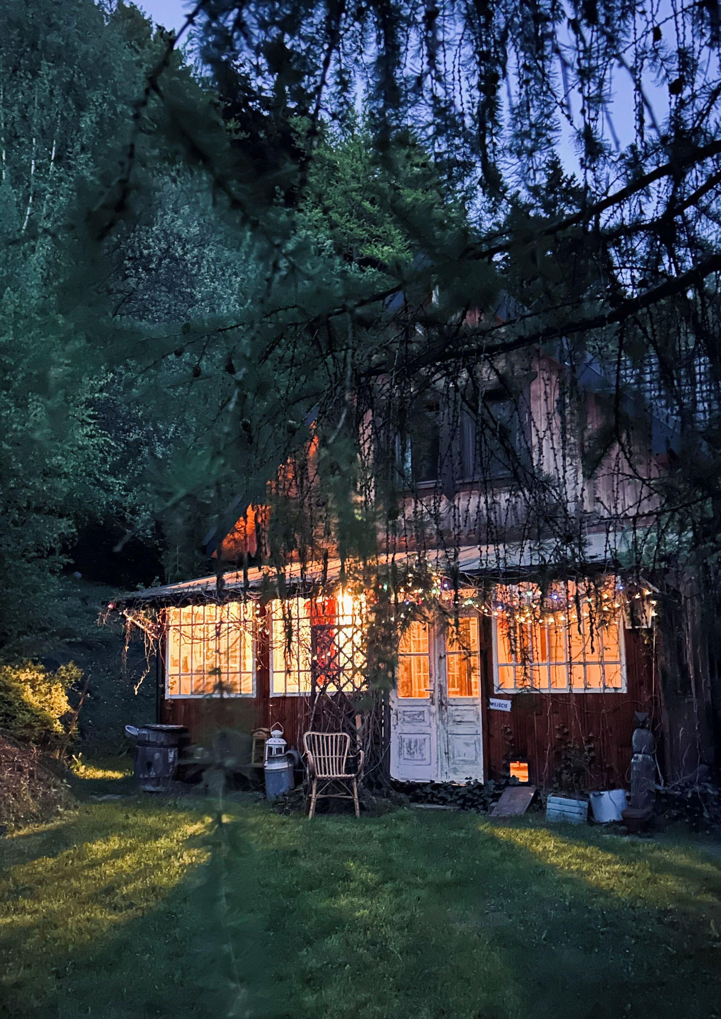 A rustic wooden cabin with a porch, surrounded by dense trees.