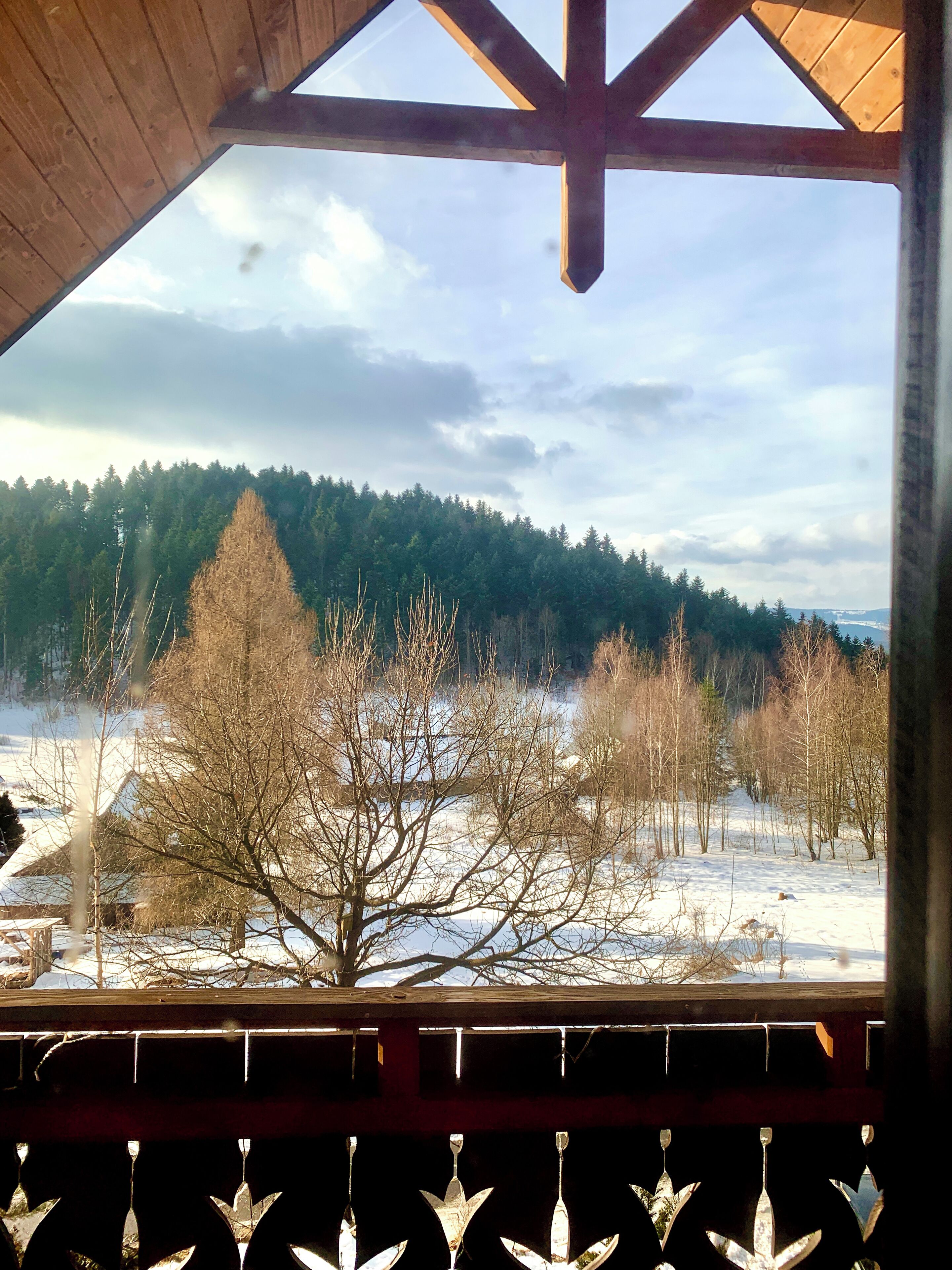 A view from a window with a wooden ceiling and metal railing, overlooking a snowy landscape with trees and a forested hill.