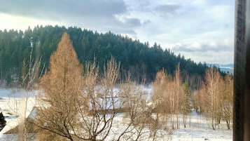 A view from a window with a wooden ceiling and metal railing, overlooking a snowy landscape with trees and a forested hill.