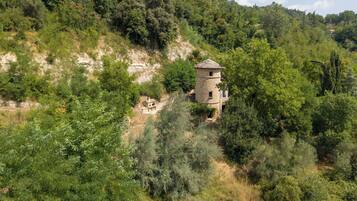 Ein steinerner Turm, umgeben von dichtem Wald und Hügeln.
