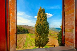 A view through a window with a brick wall, overlooking a vineyard and a tall tree. - Casa al Poggio. An 18th-century farmhouse in Val d'Orcia. Perfect for families (Castiglione d'Orcia)