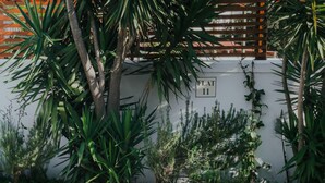 Huis | 1 slaapkamer