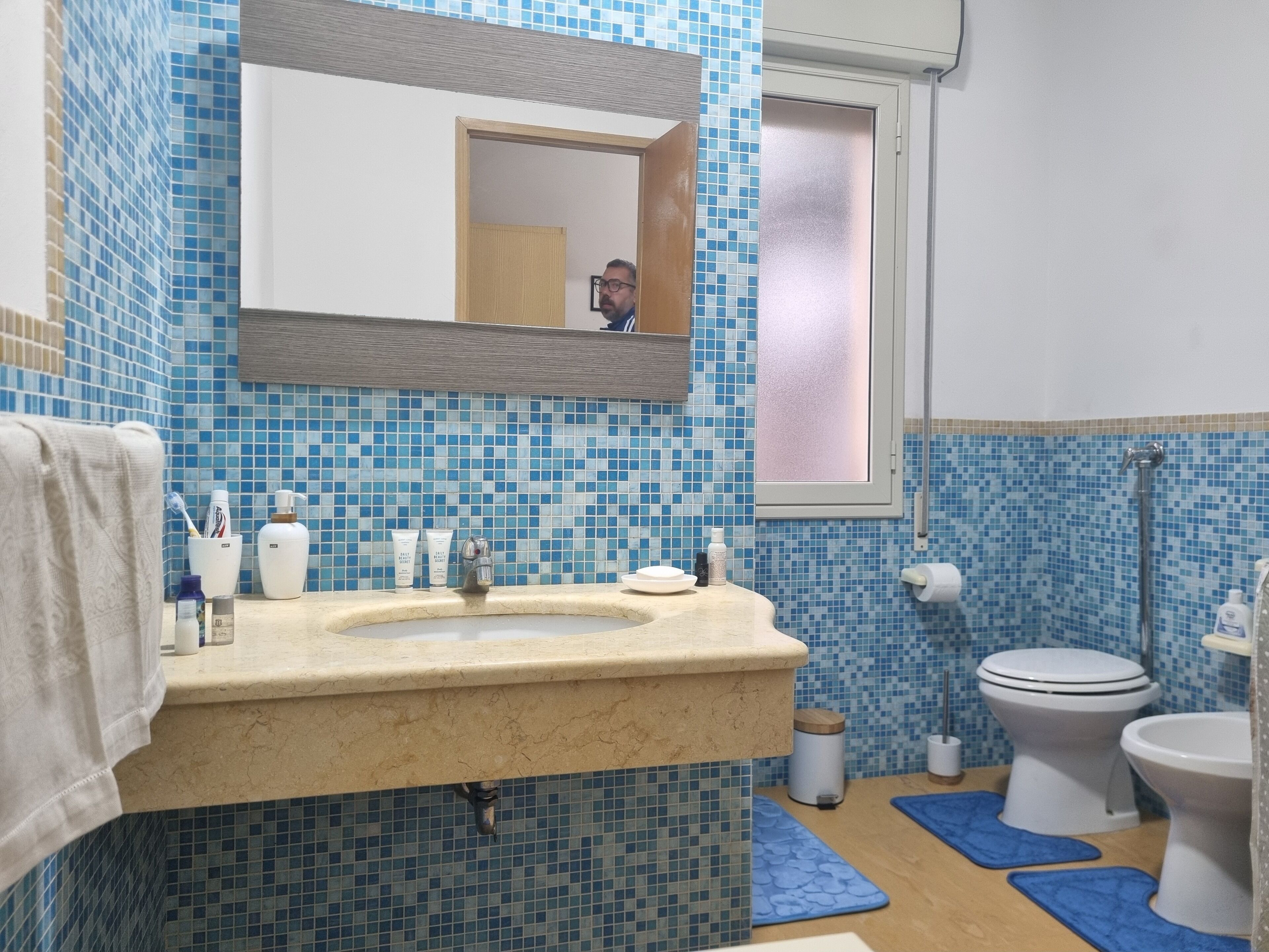 Shower, hair dryer, bidet, towels
