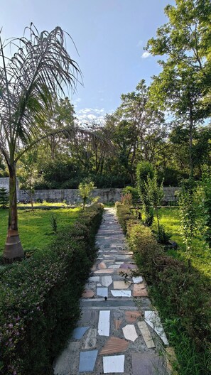 Un chemin de pierres qui traverse un jardin où l’on trouve différentes plantes et un palmier.