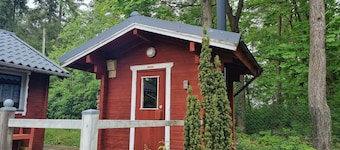 Small Swedish cabin by the lake | Sauna | Canoe | Dock included | 1 min. to the lake
