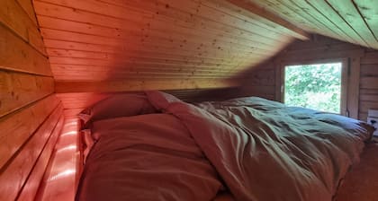 Small Swedish cabin by the lake | Sauna | Canoe | Dock included | 1 min. to the lake