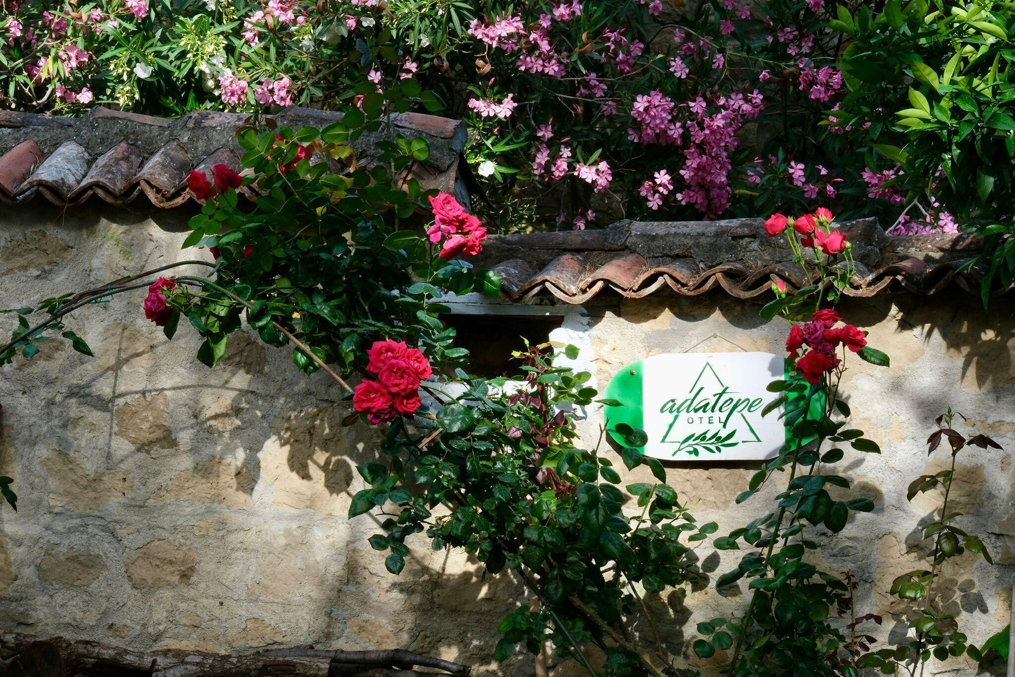 Detalle exterior