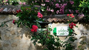 Detalle exterior