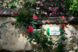 Detalle exterior