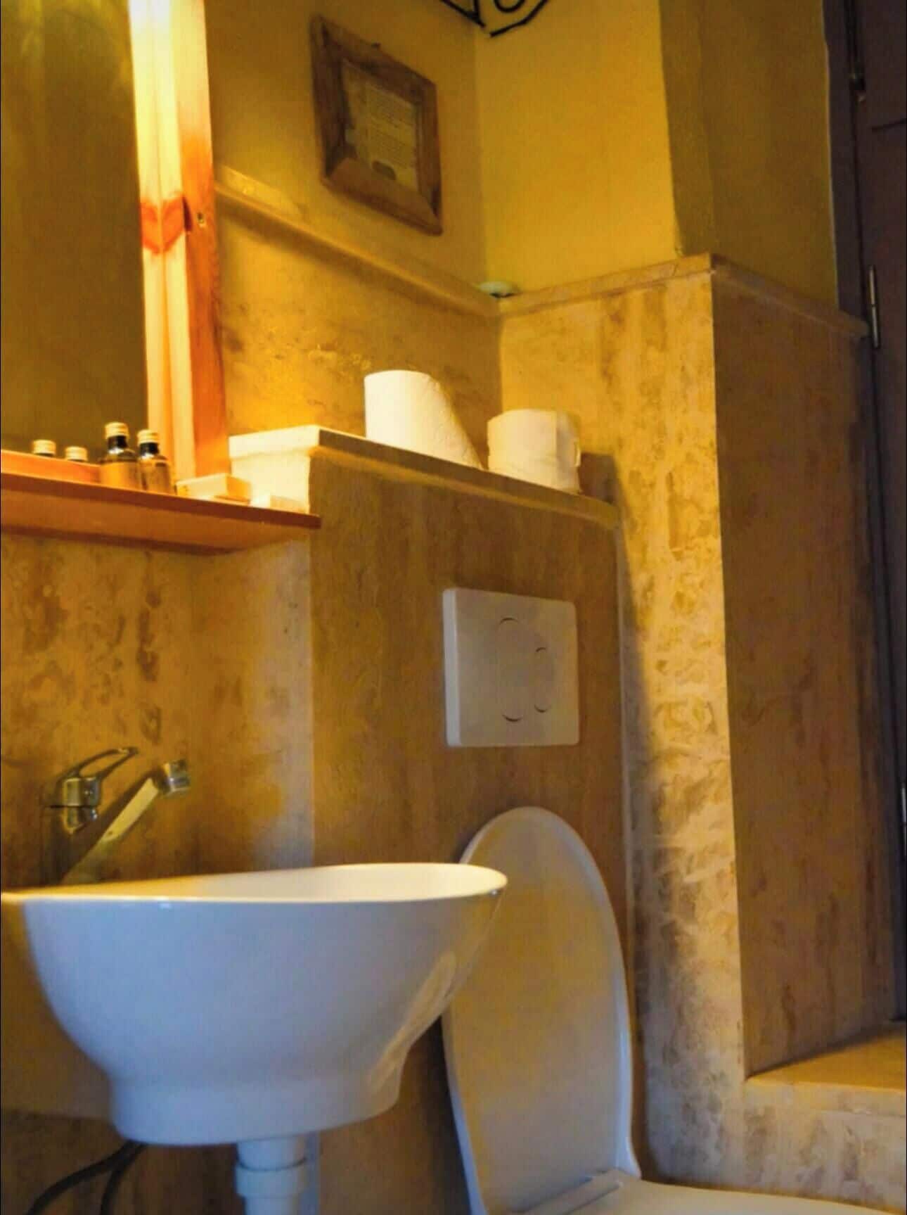 A bathroom with a sink, toilet, and a shelf with toiletries.