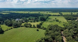 Aerial view - Sam Houston National Forest Rustic hide away. Coffee on me! (Coldspring)