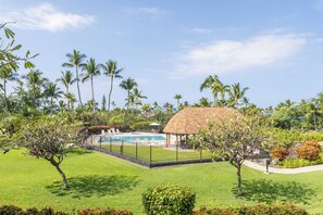 A pool area with a thatched-roof structure, surrounded by a fence and palm trees. - New Listing Keauhou Punahele C202, Ocean Views, Pool (Kailua)