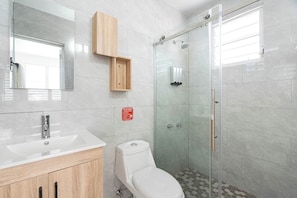 Chuveiro, secador de cabelo, toalhas de banho, shampoo