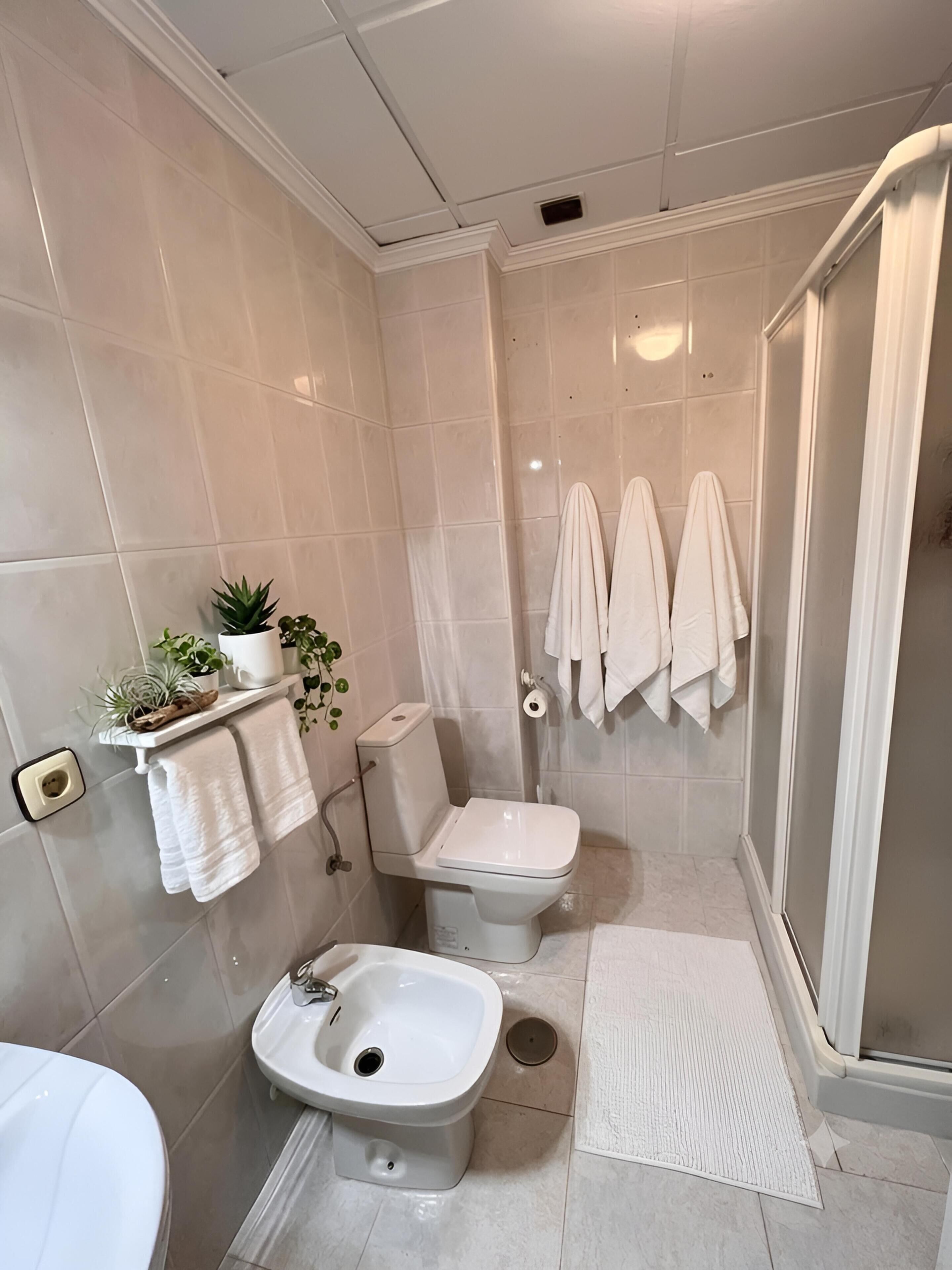 Shower, hair dryer, bidet, towels