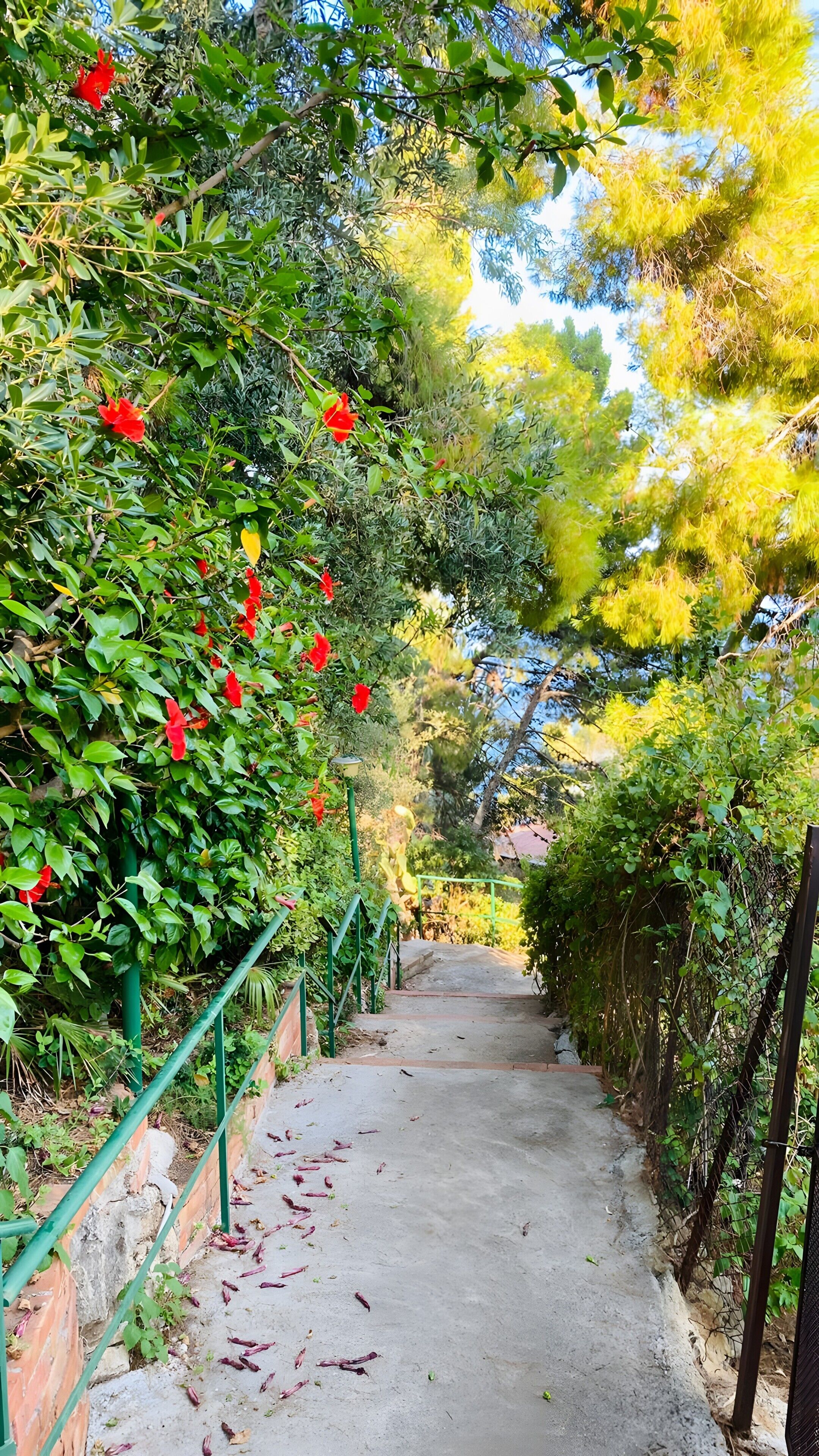 Jardines del alojamiento