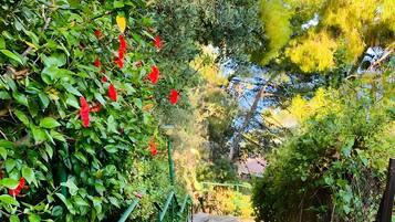 Jardines del alojamiento
