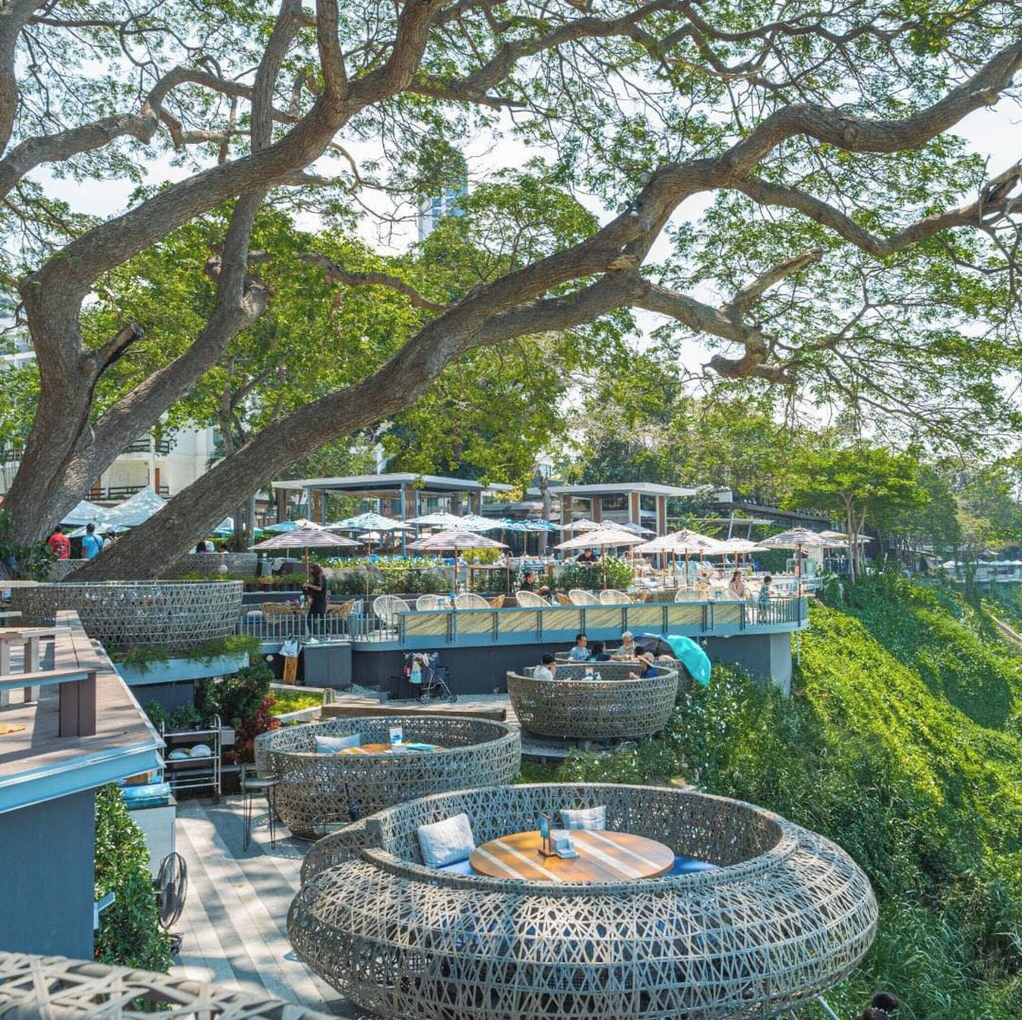 Un restaurant situé sur le toit d’un immeuble, avec une terrasse, de grands arbres et une vue sur le paysage urbain.