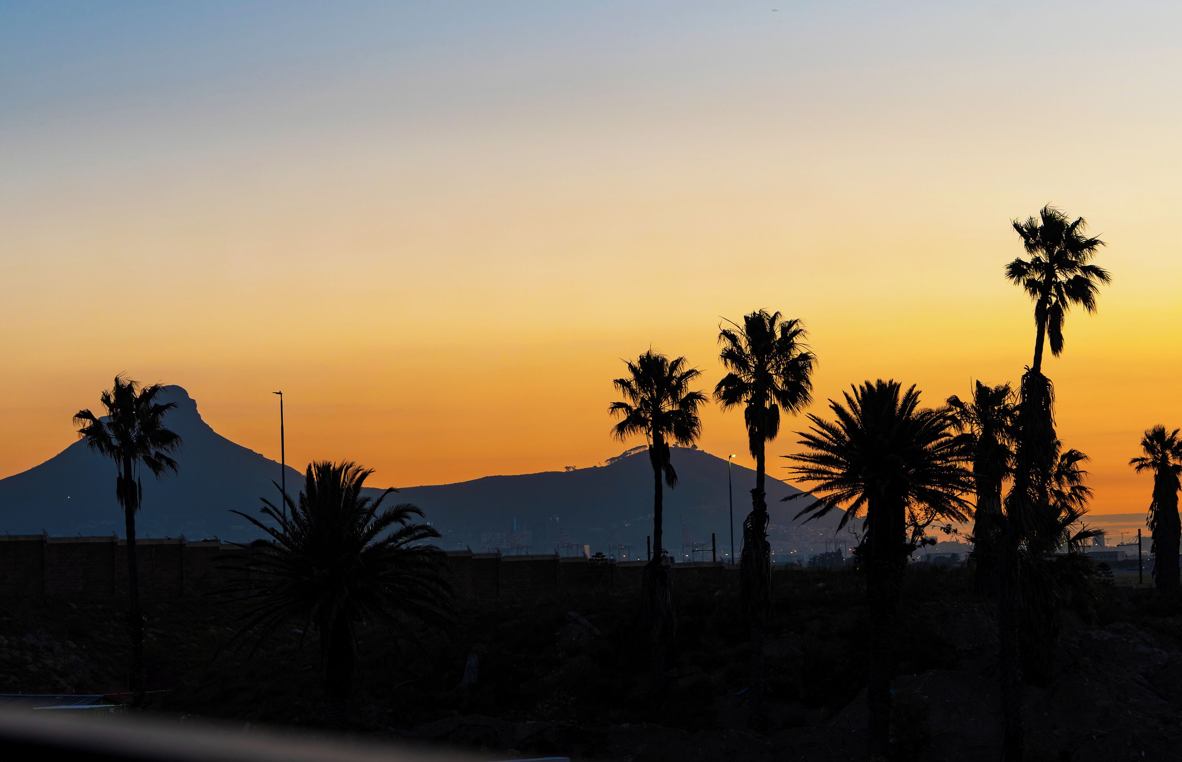 A sunset with palm trees and a mountain silhouette.