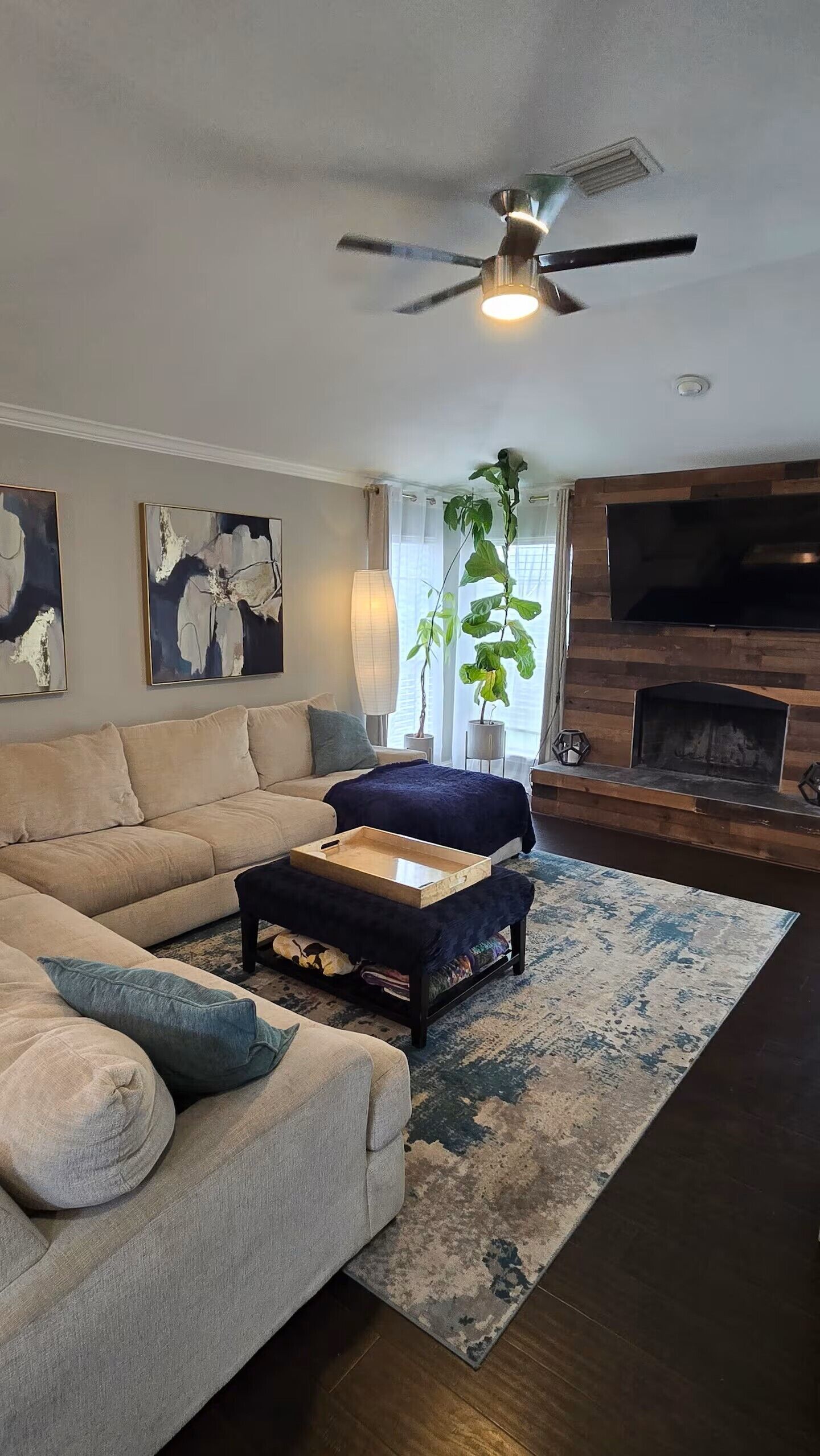 Smart TV, fireplace, computer monitors