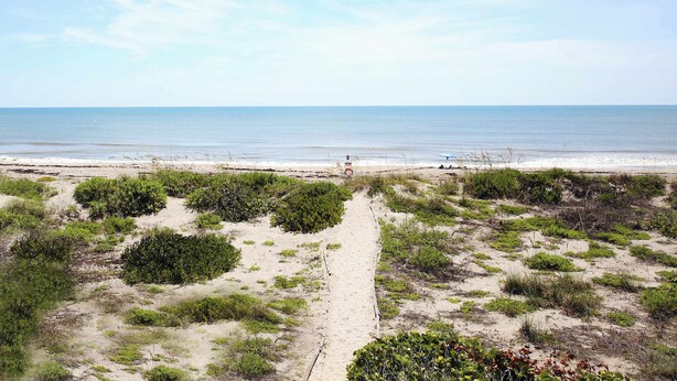 Ein sandiger Strand mit einem schmalen Pfad zum Wasser, umgeben von niedriger Vegetation.