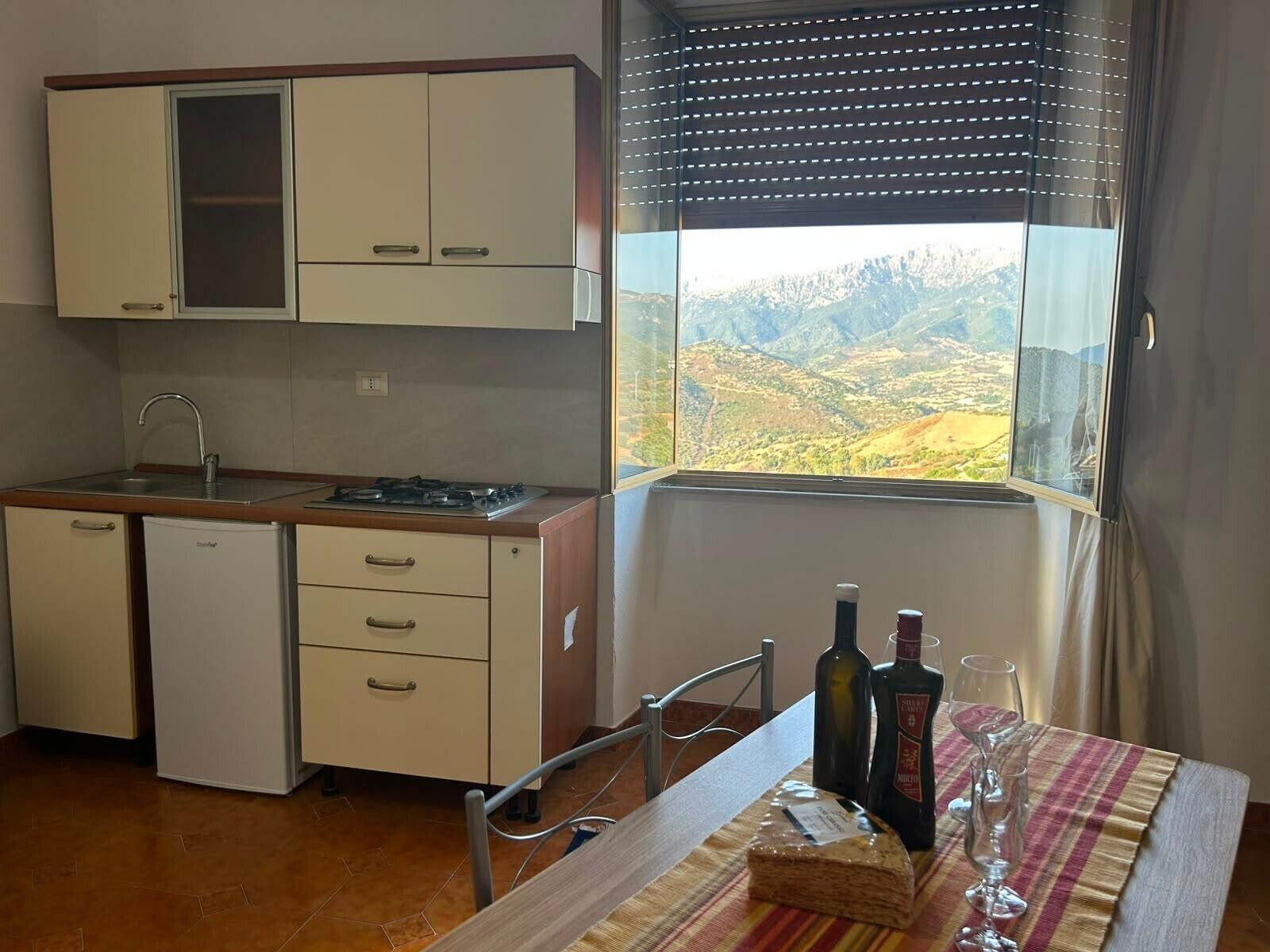 Kühlschrank, Mikrowelle, Herdplatte, Kochgeschirr/Geschirr/Besteck