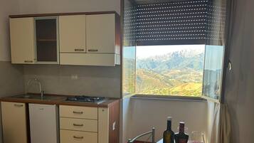 Kühlschrank, Mikrowelle, Herdplatte, Kochgeschirr/Geschirr/Besteck