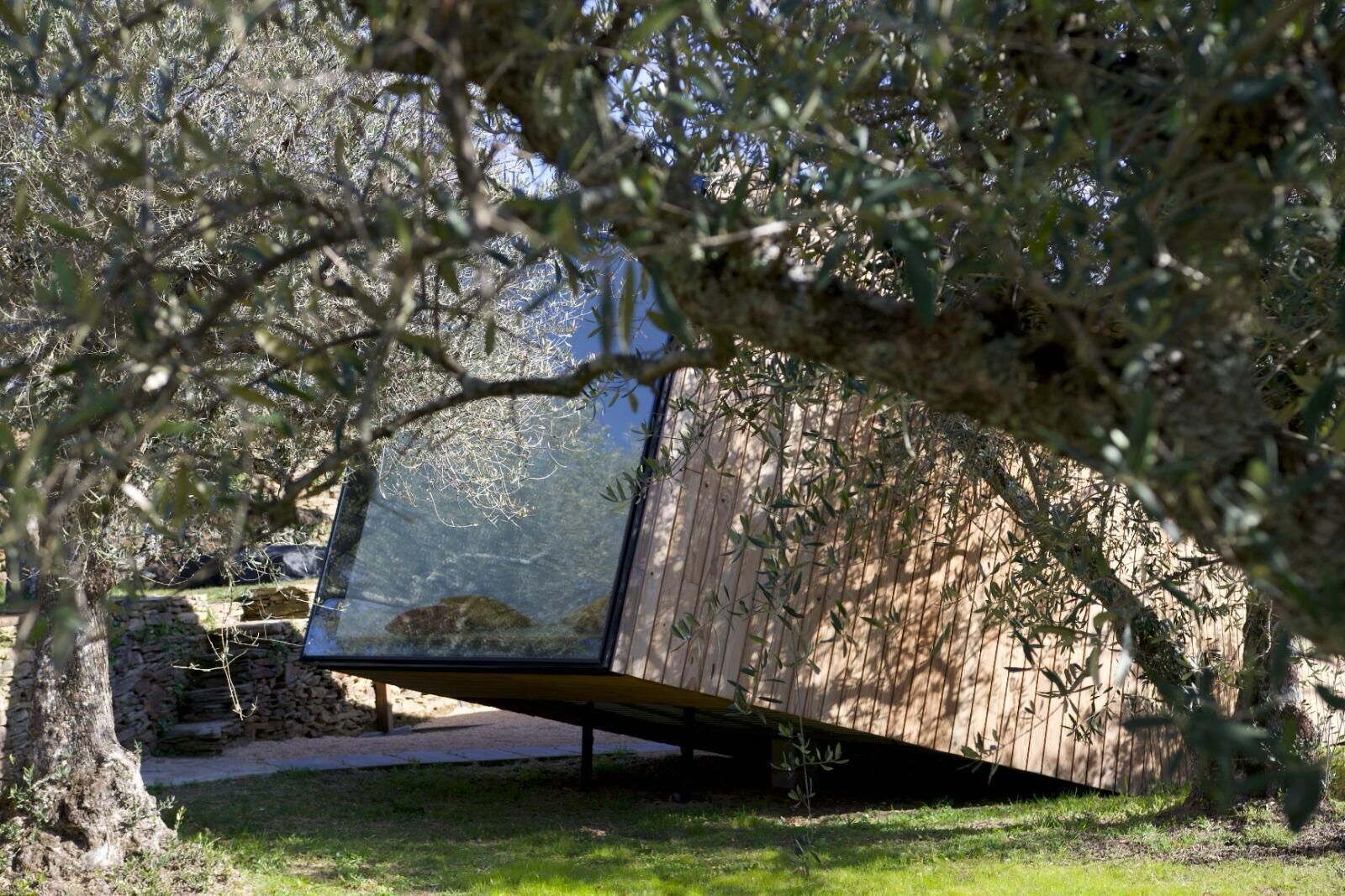 Um edifício moderno e curvilíneo, parcialmente escondido pela vegetação.