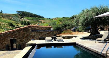 Quinta dos Piscos