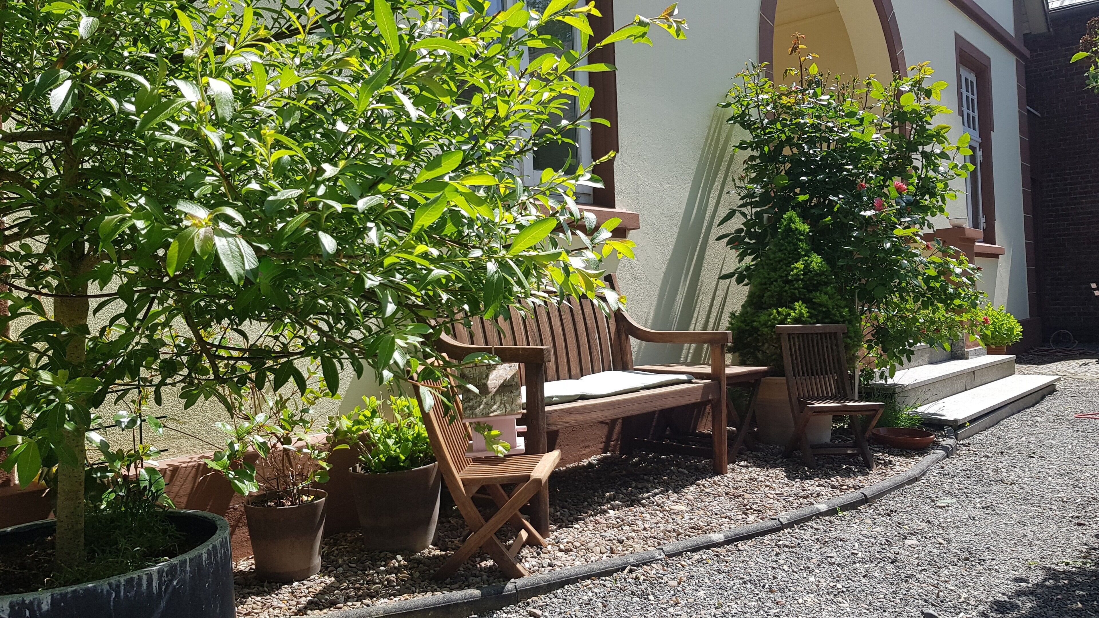 Terraza o patio