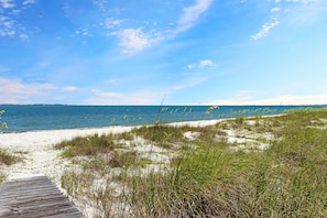 En strand med en träpromenad som leder ner till vattnet, omgiven av sand och vegetation.