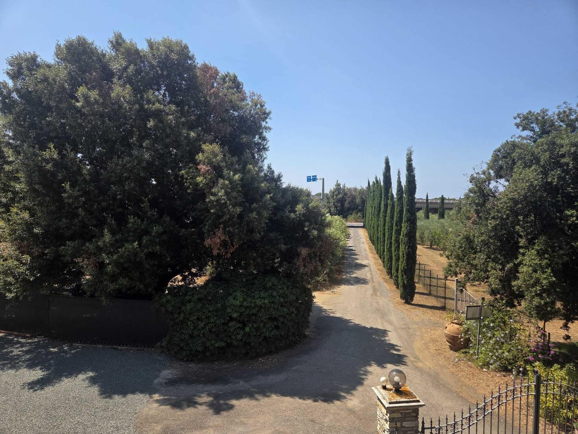 Studio, Courtyard View | View from room