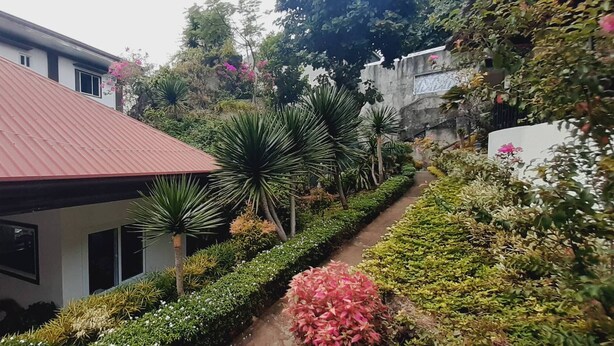 Un quartiere residenziale con una casa dal tetto rosso, un vialetto fiancheggiato da diverse piante e un giardino con arbusti fioriti.