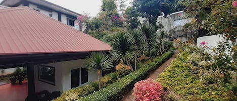 A residential area with a red-roofed house, a pathway lined with various plants, and a garden with flowering shrubs.