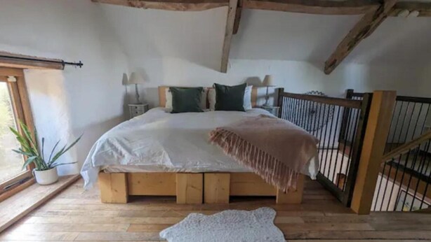A bedroom with a wooden bed, a white blanket, a grey rug, and a window with a plant.