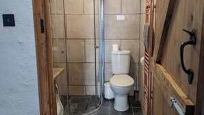 A small bathroom with a toilet, a shower, and a wooden door.