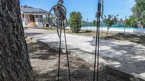 Un albero con un'altalena appesa ai rami.