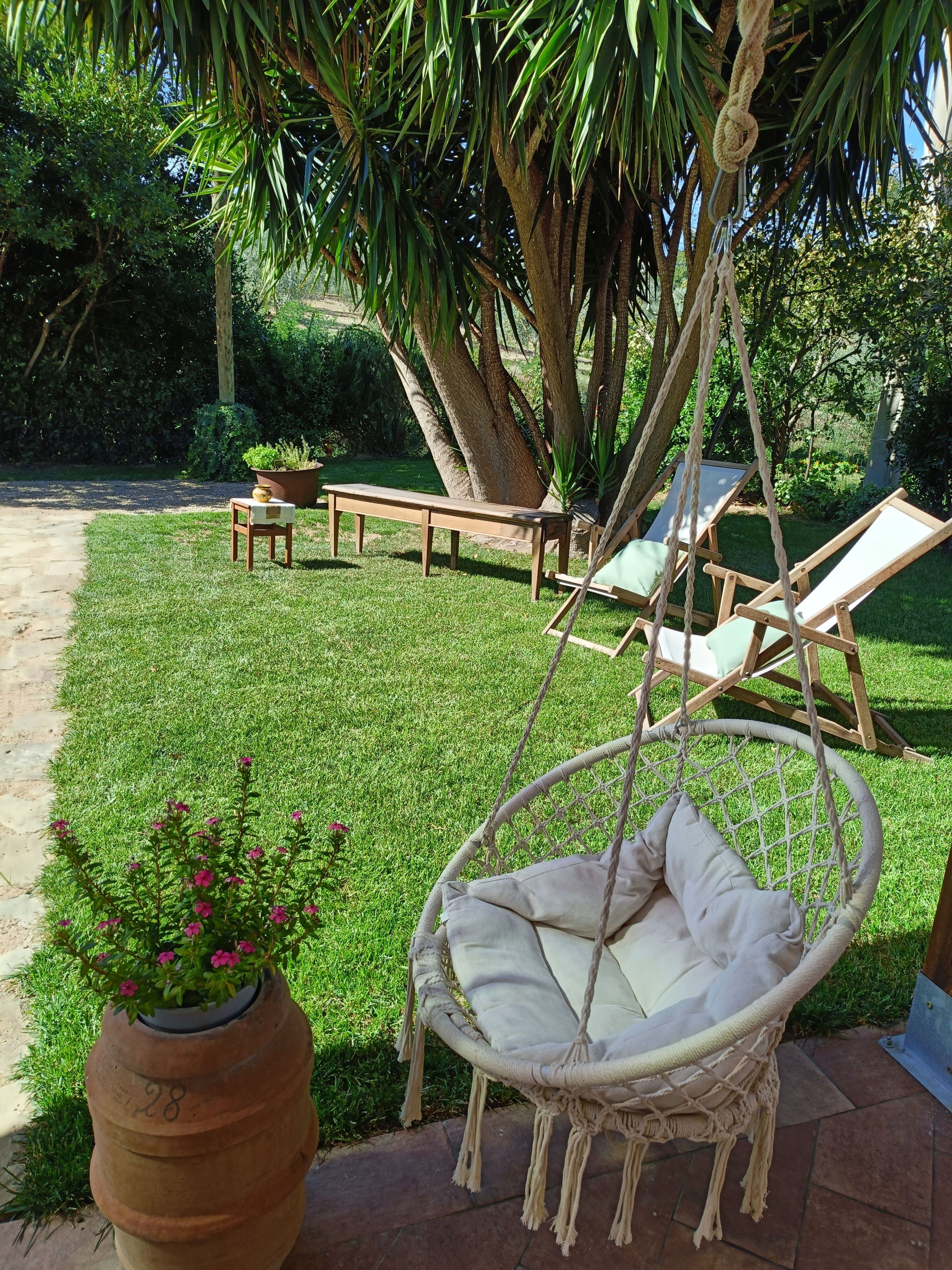Un jardín con una hamaca colgante, un banco y una planta en maceta.